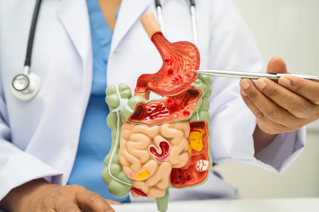Maintaining Long-Term Wellness with Comprehensive Gastroenterologist in Darnestown Care and Guidance